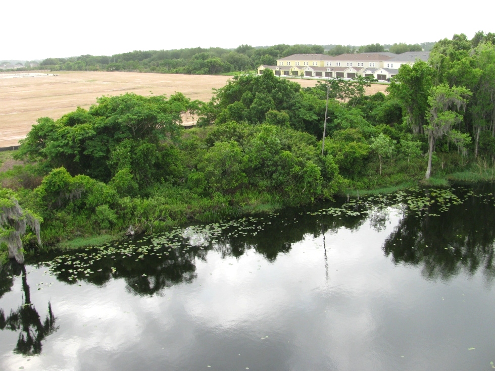 BioTech Consulting Orlando Red Dog Helicopters 