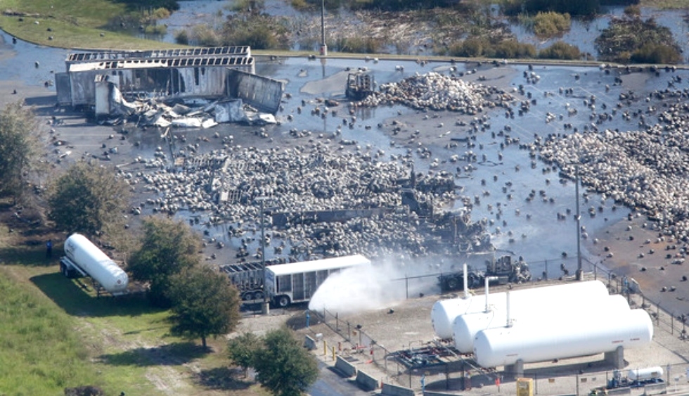 Orlando Sentinel Photos by Red Huber Photographer Red Dog Helicopters 