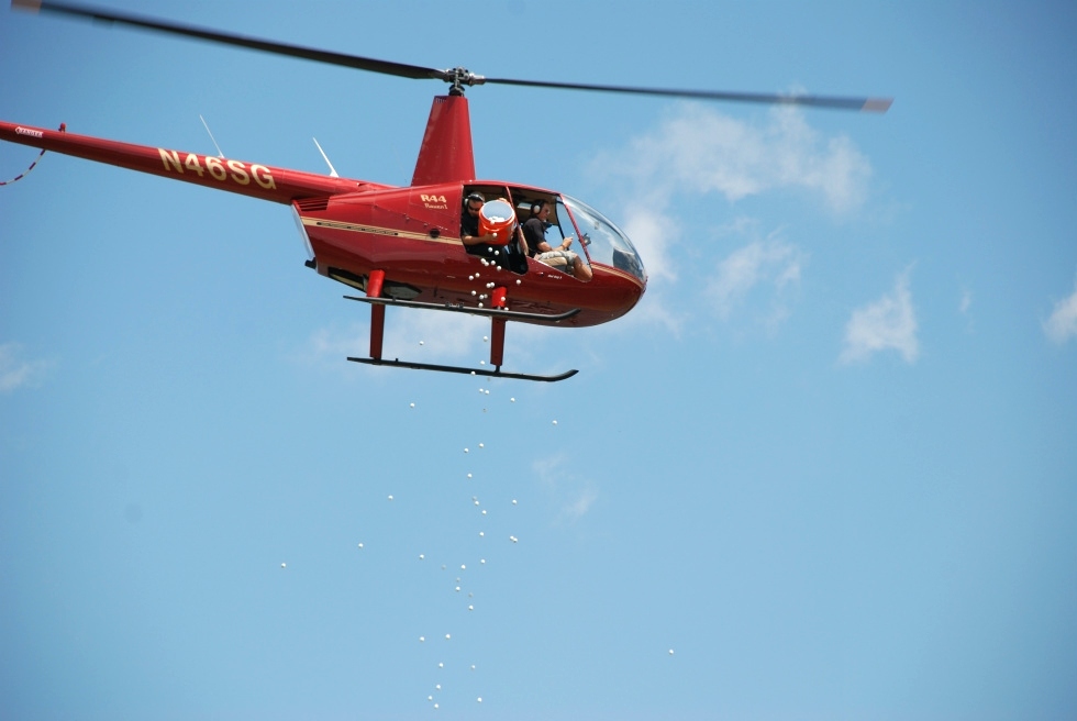 Golf Ball and Easter Candy Drops  Red Dog Helicopters 